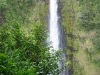 Akaka Falls State Park 08